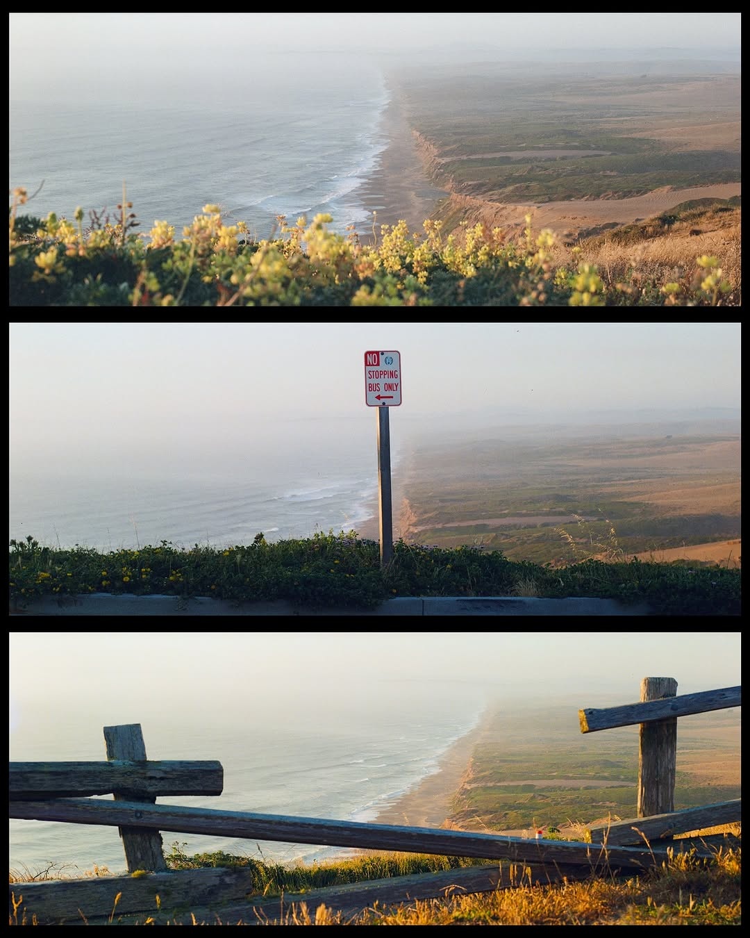Golden hour vibes and coastal dreams, captured on film.

📸 #hasselblad500cm
🎞️ Lomo800 @lomographyus 
📍Point Reyes
🧪 #nicefilmclub 
#shootfilmmag #loadfilm #photocinematica #magazine35mm #stademagazine #filmphotography #filmtweakers #shootitwithfilm #thefilmsorority #filmforall #shootfilmstaybroke #earthmininal 
#HeyLomography #lomographycamera #ishootfilm #filmphotography #naturefilmed #lomo800