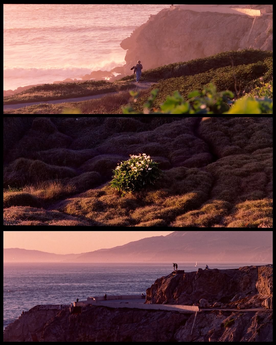 Cinematic Moments on Film 🎞️

📸 #hasselblad 205TCC
🎞️ #cinestill800 
📍#sanfrancisco 

#shootfilmmag #loadfilm #photocinematica #magazine35mm #stademagazine #filmphotography #filmtweakers #shootitwithfilm #thefilmsorority #filmforall #shootfilmstaybroke #earthonfilm #whimsifilm