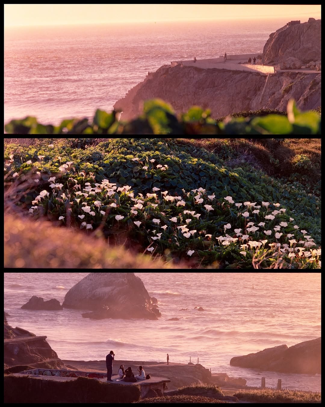 Cinematic Moments on Film 🎞️

📸 #hasselblad 205TCC
🎞️ #cinestill800 
📍#sanfrancisco 

#shootfilmmag #loadfilm #photocinematica #magazine35mm #stademagazine #filmphotography #filmtweakers #shootitwithfilm #thefilmsorority #filmforall #shootfilmstaybroke #earthonfilm #whimsifilm #cinestill #cinestill800t #kodak #kodakprofessional #xpan