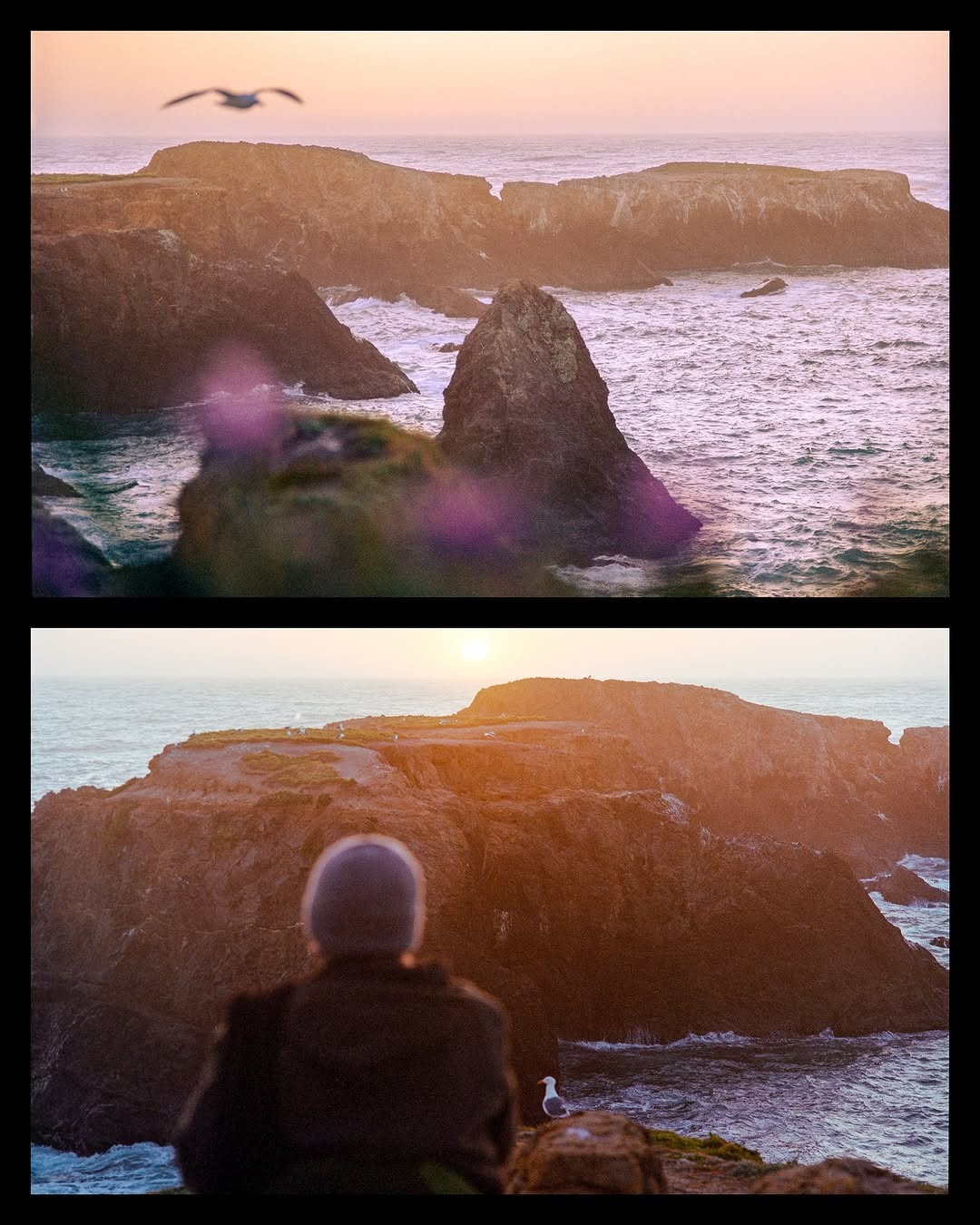 Golden memories in Mendocino. 🎞️
During my anniversary trip, I shot 5 rolls Portra 400, gifts from @timryugo_kodakprofessional, which record a lot of rare memories.

📸 #hasselblad205tcc 
🎞️ #portra400 
📍#mendocino 
#shootfilmmag #loadfilm #photocinematica #magazine35mm #stademagazine #filmphotography #filmtweakers #shootitwithfilm #thefilmsorority #filmforall #shootfilmstaybroke#photocinematica #magazine35mm #kodak #kodakprofessional #hummingmag #kodakphotography #kodakmoments #kodakfilm #madewithkodak