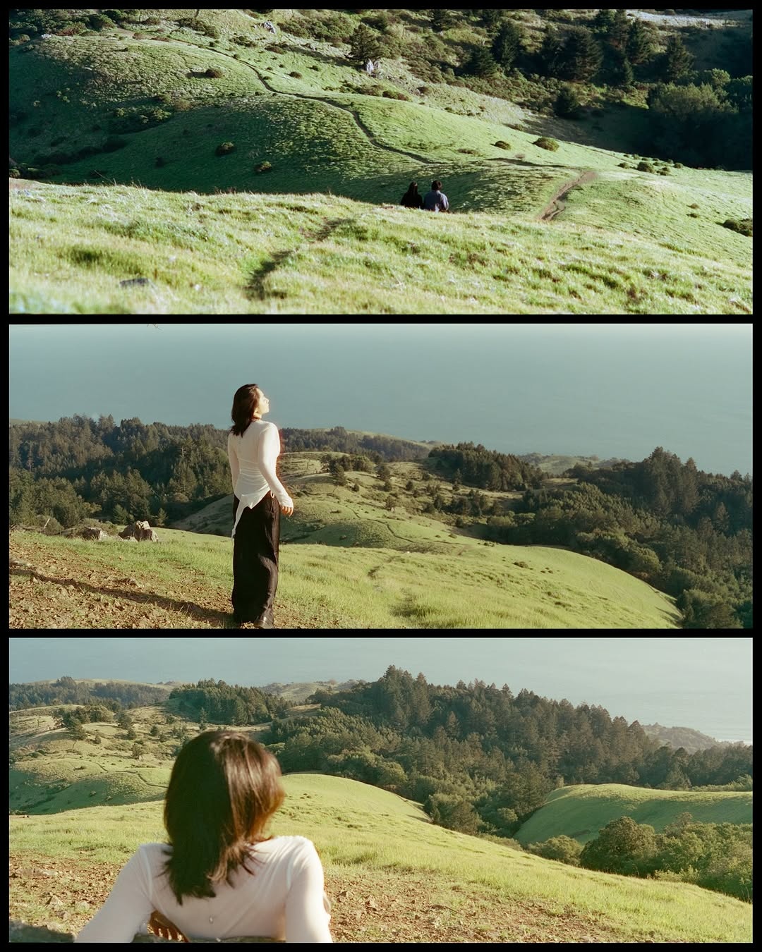 MT moments in Spring 🎞️
📸 #hasselblad 205TCC
🎞️ #cinestill400d 
🧪 #kodak 
#shootfilmmag #loadfilm #photocinematica #magazine35mm #stademagazine #filmphotography #filmtweakers #shootitwithfilm #thefilmsorority #filmforall #shootfilmstaybroke #cineatill #baeareafilm