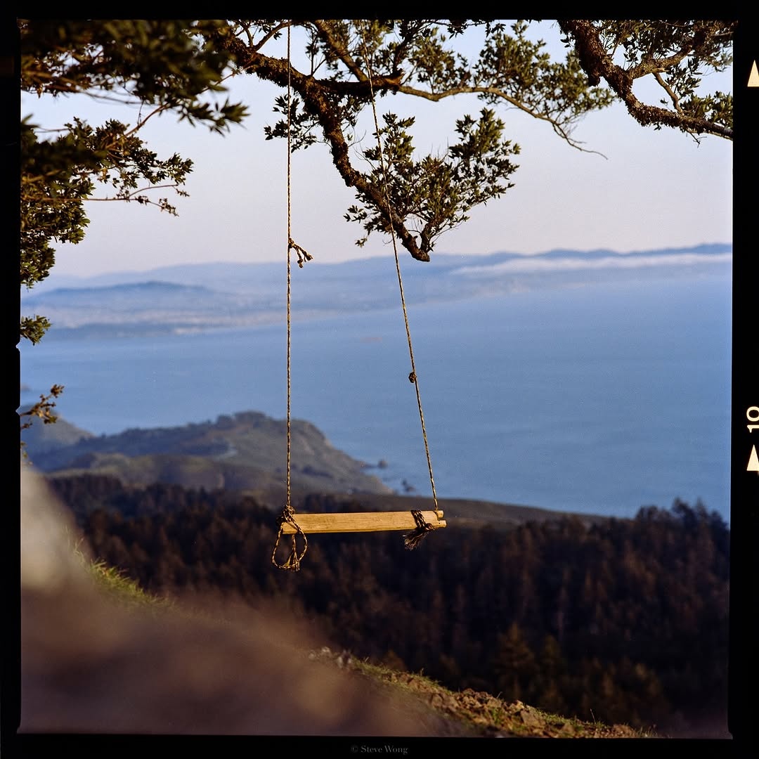 Moments of Gold 🎞️

📸 #hasselblad205tcc 
🎞️ #gold200 
#shootfilmmag #loadfilm #photocinematica #magazine35mm #stademagazine #filmphotography #filmtweakers #shootitwithfilm #thefilmsorority #filmforall #shootfilmstaybroke #shootfilmmag #loadfilm #photocinematica #magazine35mm
#stademagazine #filmphotography #filmtweakers#shootitwithfilm #thefilmsorority #filmforall#shootfilmstaybroke #kodak #kodakprofessional #earthandfilm #baeareafilm