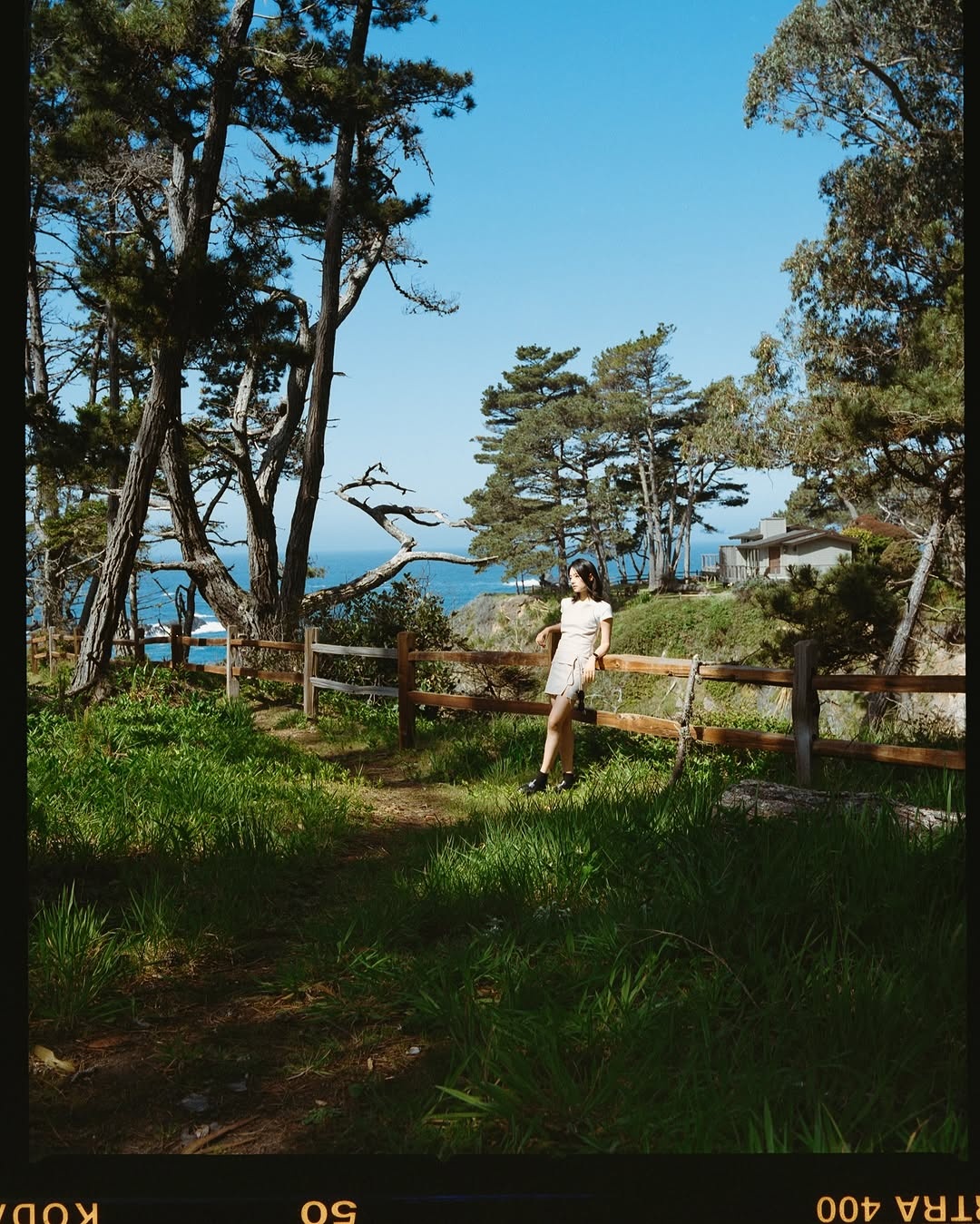 Film 🎞️ VS Digital Film 📸🎞️

Shooting film 🎞️ with my trusty Hasselblad is a blast, especially with that huge viewfinder. But my GR IIIx HDF is perfect for daily snaps - it's so compact and the colors are incredible.

Which do you prefer? Share your thoughts!

📸 #hasselblad205tcc & #griiix 
🎞️ #portra400 
📍#mendocino 
#shootfilmmag #loadfilm #photocinematica #magazine35mm #stademagazine #filmphotography #filmtweakers #shootitwithfilm #thefilmsorority #filmforall #shootfilmstaybroke#photocinematica #magazine35mm #kodak #kodakprofessional #hummingmag #kodakphotography #kodakmoments #kodakfilm #madewithkodak