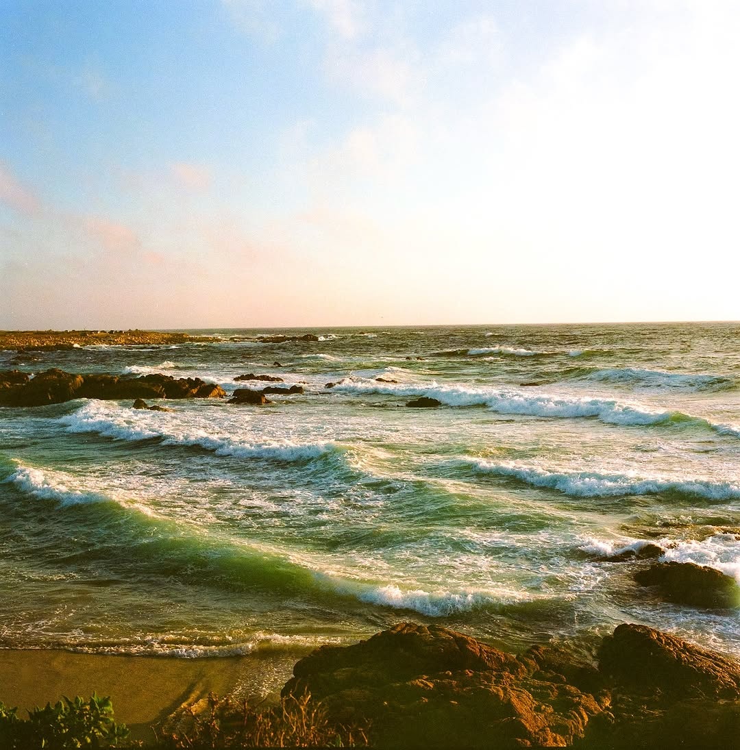 Golden moments on film 🎞️ 
📸 #hasselblad500c
🎞️ #portra400 
📍#17miledrive 
#shootfilmmag #loadfilm #photocinematica #magazine35mm #stademagazine #filmphotography #filmtweakers #shootitwithfilm #thefilmsorority #filmforall #shootfilmstaybroke#photocinematica #magazine35mm #kodak #kodakprofessional #hummingmag #kodakphotography #kodakmoments #kodakfilm #madewithkodak