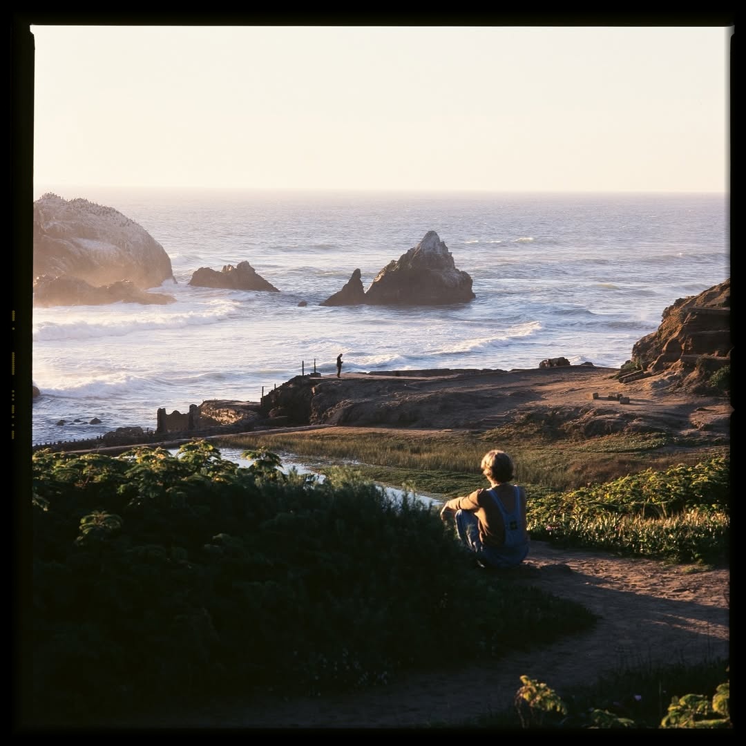 The rest of frames 🎞️

Again, I don’t expect that this expired film can perform as good as this! So surprising 🤩

📷 #hasselblad205tcc
🎞️ #provia400f El 200
📍#sanfrancisco
#shootfilmmag #loadfilm #photocinematica #magazine35mm #goldmoony 
#stademagazine #filmphotography #filmtweakers
#shootitwithfilm #thefilmsorority #filmforall
#shootfilmstaybroke#photocinematica #magazine35mm#fujifilm #fujifilmphotography #fujifilmglobal #fujiprovia#fujiprovia10Of #provia #provia100f #ishootfujifilm