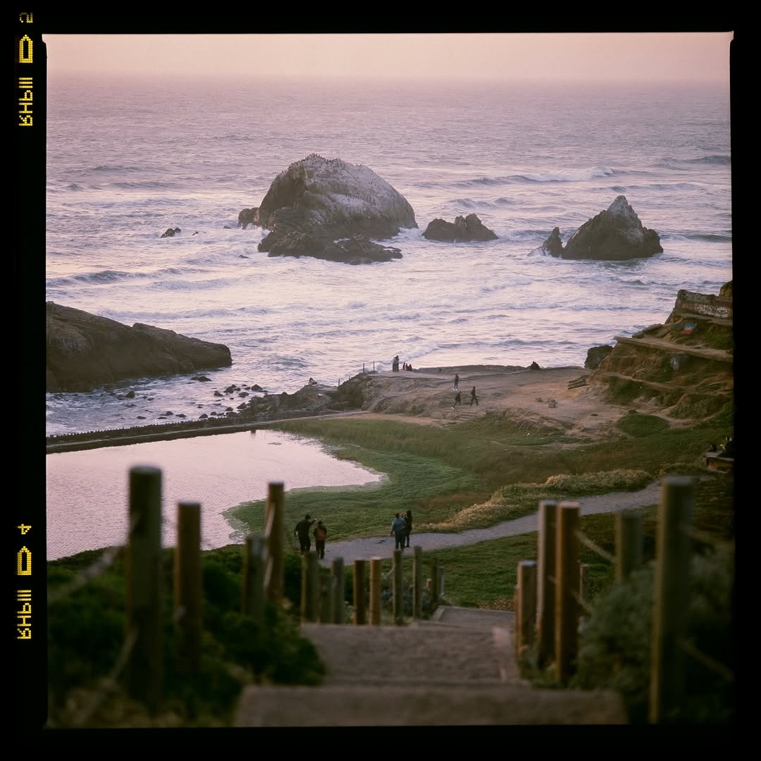 Dreamy moments in Lands End

📷 #hasselblad205tcc
🎞️ #provia400f El 200
📍#sanfrancisco
#shootfilmmag #loadfilm #photocinematica #magazine35mm #goldmoony 
#stademagazine #filmphotography #filmtweakers
#shootitwithfilm #thefilmsorority #filmforall
#shootfilmstaybroke#photocinematica #magazine35mm#fujifilm #fujifilmphotography #fujifilmglobal #fujiprovia#fujiprovia10Of #provia #provia100f #ishootfujifilm