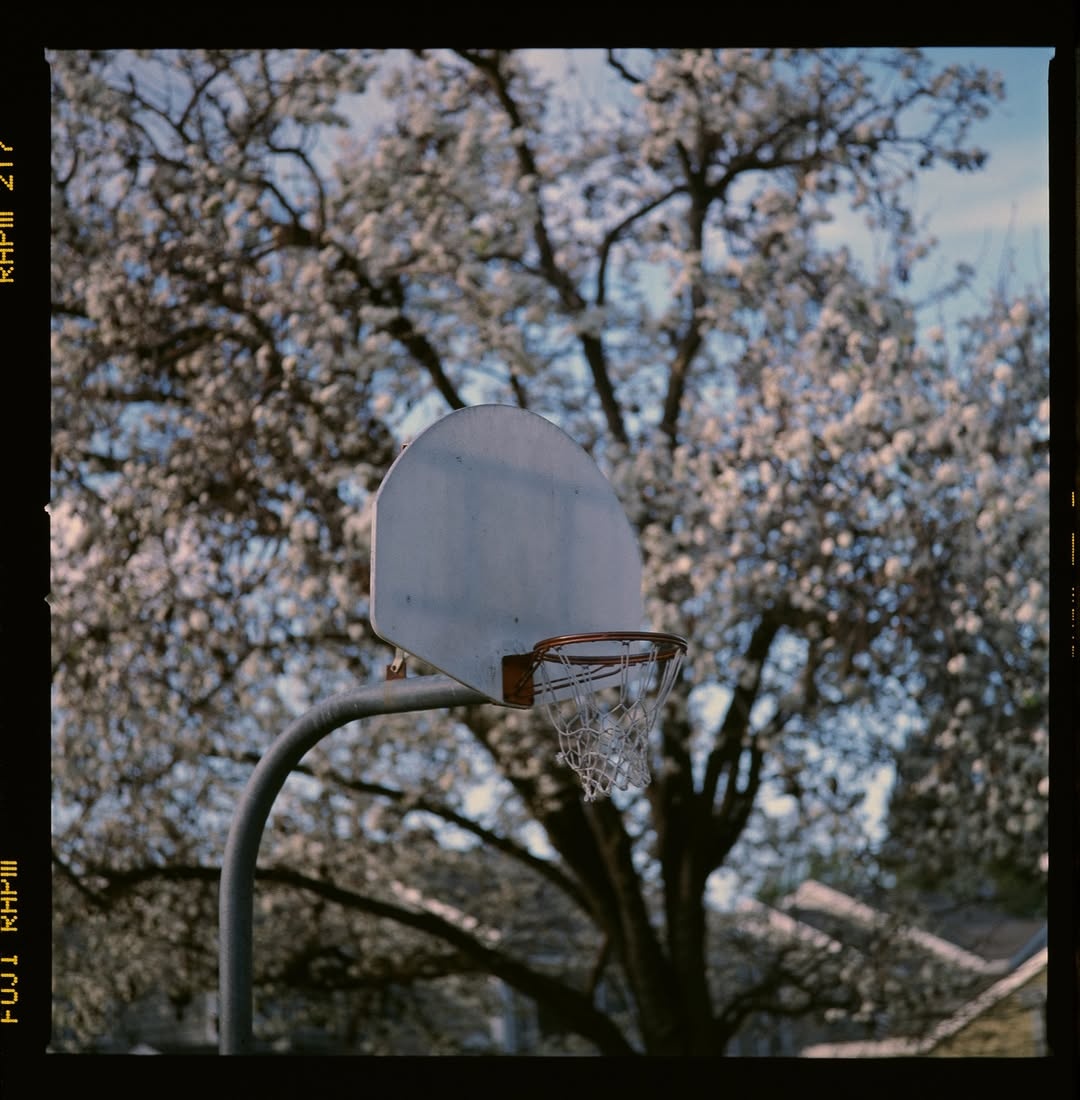 Beauty doesn’t always need distance—it lives quietly just around the corner. 🎞️

📷 #hasselblad205tcc
🎞️ #provia400f El 200
📍#mountainview 
#shootfilmmag #loadfilm #photocinematica #magazine35mm #goldmoony 
#stademagazine #filmphotography #filmtweakers
#shootitwithfilm #thefilmsorority #filmforall
#shootfilmstaybroke#photocinematica #magazine35mm#fujifilm #fujifilmphotography #fujifilmglobal #fujiprovia#fujiprovia10Of #provia #provia100f #ishootfujifilm