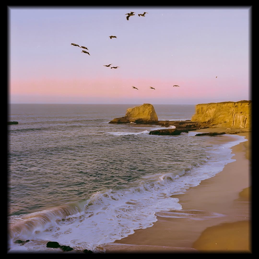 Where the sky melts into the sea.

📸 #hasselblad500c 
🎞️ #portra400 
📍#santacruz 
#shootfilmmag #loadfilm #photocinematica #magazine35mm #stademagazine #filmphotography #filmtweakers #shootitwithfilm #thefilmsorority #filmforall #shootfilmstaybroke#photocinematica #magazine35mm #kodak #kodakprofessional #hummingmag #kodakphotography #kodakmoments #kodakfilm #madewithkodak #goldmoony