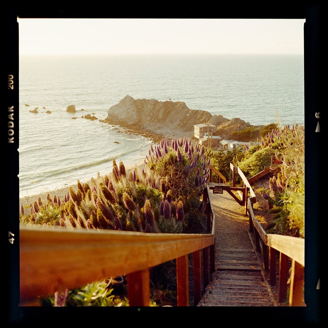 Where the path meets the sea, spring sings in violet.🎞️

The last roll from @timryugo_kodakprofessional, truly grateful for your support 🫶🏻

📸 #hasselblad205TCC
🎞️ #kodak #gold200
📍#pacifica 
🧪 self developed and scanned 
#shootfilmmag #loadfilm #photocinematica #magazine35mm #stademagazine #filmphotography #filmtweakers #shootitwithfilm #thefilmsorority #filmforall #shootfilmstaybroke#photocinematica #magazine35mm #kodak #kodakprofessional #hummingmag #kodakphotography #kodakmoments #kodakfilm #madewithkodak