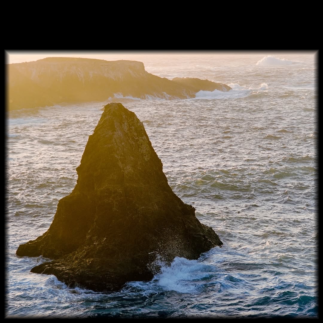 Golden memories in Mendocino. 🎞️

📸 #hasselblad205tcc 
🎞️ #portra400 
📍#mendocino 
#shootfilmmag #loadfilm #photocinematica #magazine35mm #stademagazine #filmphotography #filmtweakers #shootitwithfilm #thefilmsorority #filmforall #shootfilmstaybroke#photocinematica #magazine35mm #kodak #kodakprofessional #hummingmag #kodakphotography #kodakmoments #kodakfilm #madewithkodak