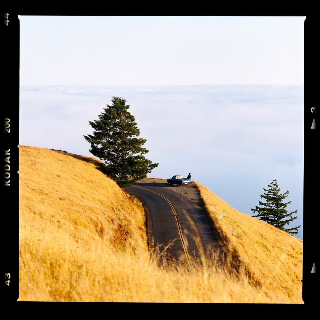 A quiet moment before the clouds swallow the path 🎞️

📸 #hasselblad205tcc
🎞️ #kodakgold200 
📍#mounttamalpais 
🧪 Developed and scanned by myself 
#shootfilmmag #loadfilm #photocinematica #magazine35mm #stademagazine #filmphotography #filmtweakers #shootitwithfilm #thefilmsorority #filmforall #shootfilmstaybroke#photocinematica #magazine35mm #kodak #kodakprofessional #kodak #kodakprofessional #hummingmag #kodakphotography #kodakmoments #kodakfilm #madewithkodak
