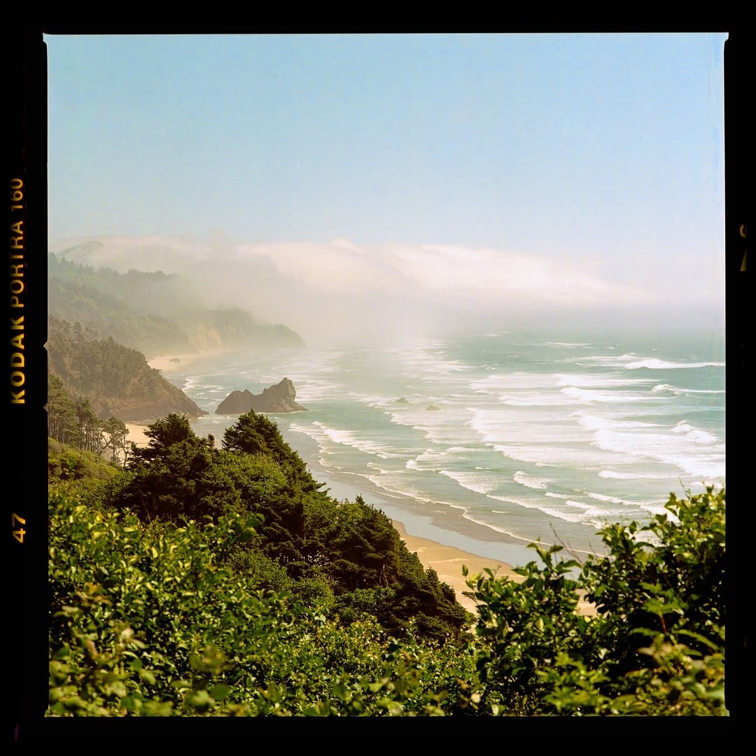 Where the mist meets the sea. 🎞️

📸 #hasselblad205tcc
🎞️ #kodakportra160 
📍#oregoncoast 
🧪 Developed and scanned by myself with #csnegativeplus @cinestillfilm 
#shootfilmmag #loadfilm #photocinematica #magazine35mm #stademagazine #filmphotography #filmtweakers #shootitwithfilm #thefilmsorority #filmforall #shootfilmstaybroke#photocinematica #magazine35mm #kodak #kodakprofessional #kodak #kodakprofessional #hummingmag #kodakphotography #kodakmoments #kodakfilm #madewithkodak
