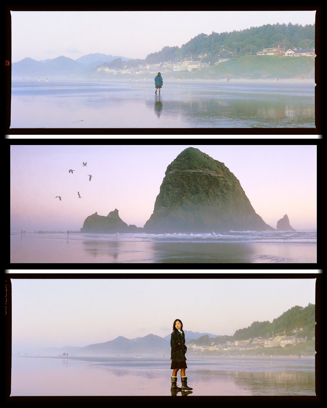 Every story lies within the cinematic frames. 🎞️
Like a dream — a blue-purple dream,
a coastal dream,
a Cannon Beach dream.

📸 #hasselblad205tcc 
🎞️ #cinestill800t
🧪Developed and scanned by myself with #csnegativeplus @cinestillfilm 
#shootfilmmag #loadfilm #photocinematica #magazine35mm #stademagazine #filmphotography #filmtweakers #shootitwithfilm #thefilmsorority #filmforall #shootfilmstaybroke#photocinematica #hummingmag #magazine35mm #kodak #cinestill #cinestill800