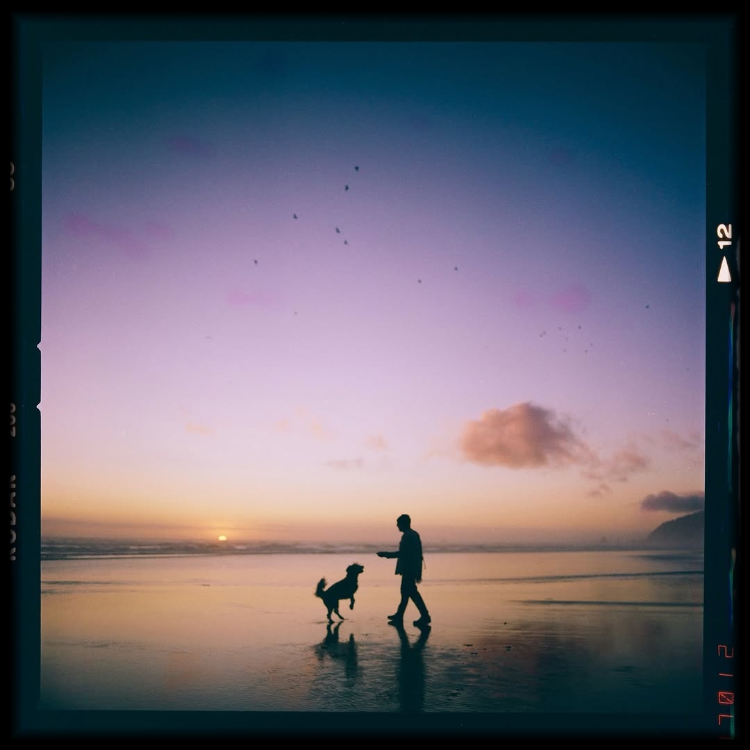 When the sky turns into poetry 🎞️

📸 #hasselblad205tcc
🎞️ #kodakgold200 
📍#oregoncoast 
🧪 Developed and scanned by myself with #csnegativeplus @cinestillfilm 
#shootfilmmag #loadfilm #photocinematica #magazine35mm #stademagazine #filmphotography #filmtweakers #shootitwithfilm #thefilmsorority #filmforall #shootfilmstaybroke#photocinematica #magazine35mm #kodak #kodakprofessional #kodak #kodakprofessional #hummingmag #kodakphotography #kodakmoments #kodakfilm #madewithkodak #kodakgold