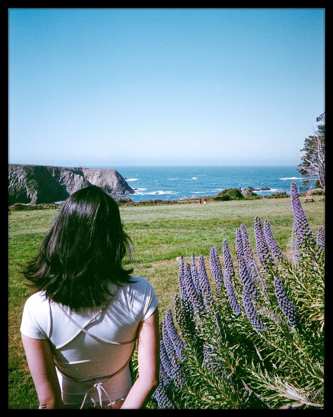 Lost between the ocean breeze and quiet dreams. 🎞️

📸 #minoltatc1 
🎞️ #fujifilmsuperiapremium400 
📍#mendocino 

#filmphotography #filmisnotdead #shotonfilm #35mm #leicam6 #earthminimal #simplyfilmmag #ishootfujifilm #ishootfilm #shootfilmmag #loadfilm #photocinematica #magazine35mm #stademagazine #filmphotography #filmtweakers #shootitwithfilm #thefilmsorority #filmforall #shootfilmstaybroke #hummingmag