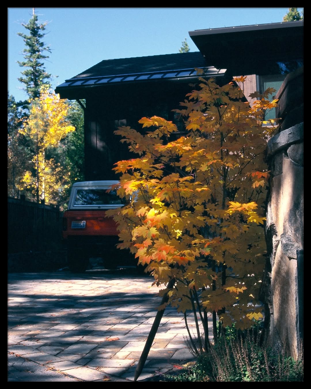 Where autumn whispers meet the stillness of the lake. 🎞️

📸 #EOS3
🎞️ #provia400f 
📍#laketahoe 

#shootfilmmag #loadfilm #photocinematica #magazine35mm #stademagazine #filmphotography #filmtweakers #shootitwithfilm #thefilmsorority #filmforall #shootfilmstaybroke #shootfilmmag #loadfilm #photocinematica #magazine35mm
#stademagazine #filmphotography #filmtweakers#shootitwithfilm #thefilmsorority #filmforall#shootfilmstaybroke #whimsifilm