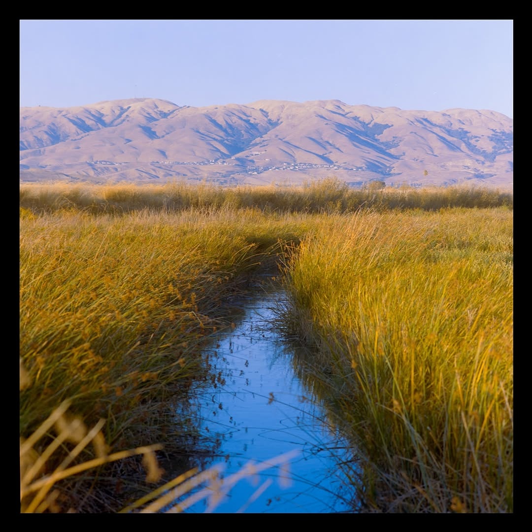 Cinematic moments in between golden light and fading silence, where the land, water, and sky melt into one memory. 🎞️

📸 #hasselblad205tcc
🎞️ #kodakportra400 & #kodakgold200 
📍#california 
🧪 Developed and scanned by myself 
#shootfilmmag #loadfilm #photocinematica #magazine35mm #stademagazine #filmphotography #filmtweakers #shootitwithfilm #thefilmsorority #filmforall #shootfilmstaybroke#photocinematica #magazine35mm #kodak #kodakprofessional #kodak #kodakprofessional #hummingmag #kodakphotography #kodakmoments #kodakfilm #madewithkodak