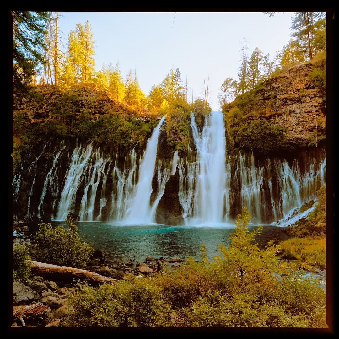 The timing wasn't ideal with the sun behind the waterfall, but the films turned out impressively beautiful. 🎞️ 

📸 #hasselblad205tcc
🎞️ #kodakportra400
📍#burneyfalls 
🧪 Developed and scanned by myself using #csnegativeplus with #csliteplus @cinestillfilm 
#shootfilmmag #loadfilm #photocinematica #magazine35mm #stademagazine #filmphotography #filmtweakers #shootitwithfilm #thefilmsorority #filmforall #shootfilmstaybroke#photocinematica #magazine35mm #kodak #kodakprofessional #kodak #kodakprofessional #hummingmag #kodakphotography #kodakmoments #kodakfilm #madewithkodak