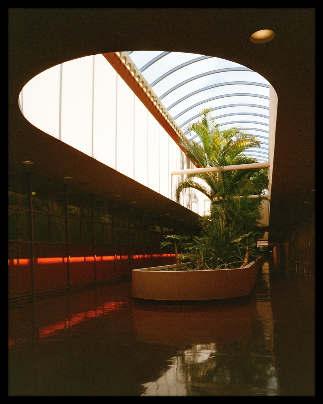 Cinematic moments suspended between light, symmetry. 🎞️

📸 #minoltatc1 
🎞️ #fujifilm superia premium 400 
📍#marincounty 
🧪 self-developed and scanned with #csnegativeplus @cinestillfilm