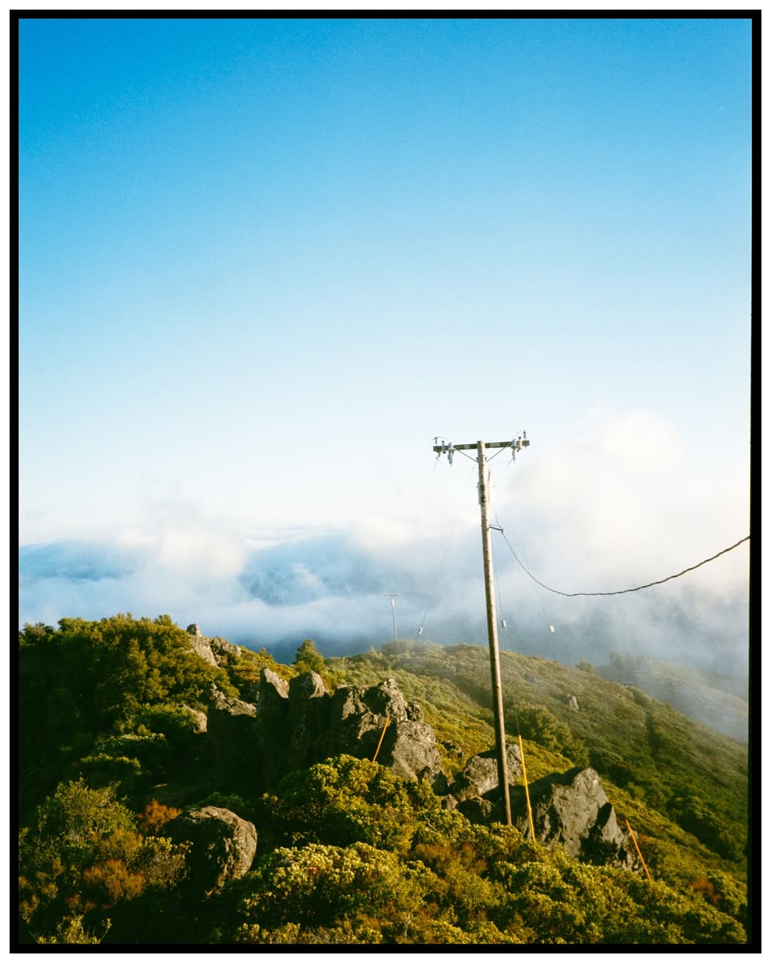 Above the clouds ☁️🎞️

📸 #minoltatc1 
🎞️ #fujisuperiapremium400 
📍#sanfrancisco 
🧪 Self development and scanned with #csnegativeplus @cinestillfilm 

#filmphotography