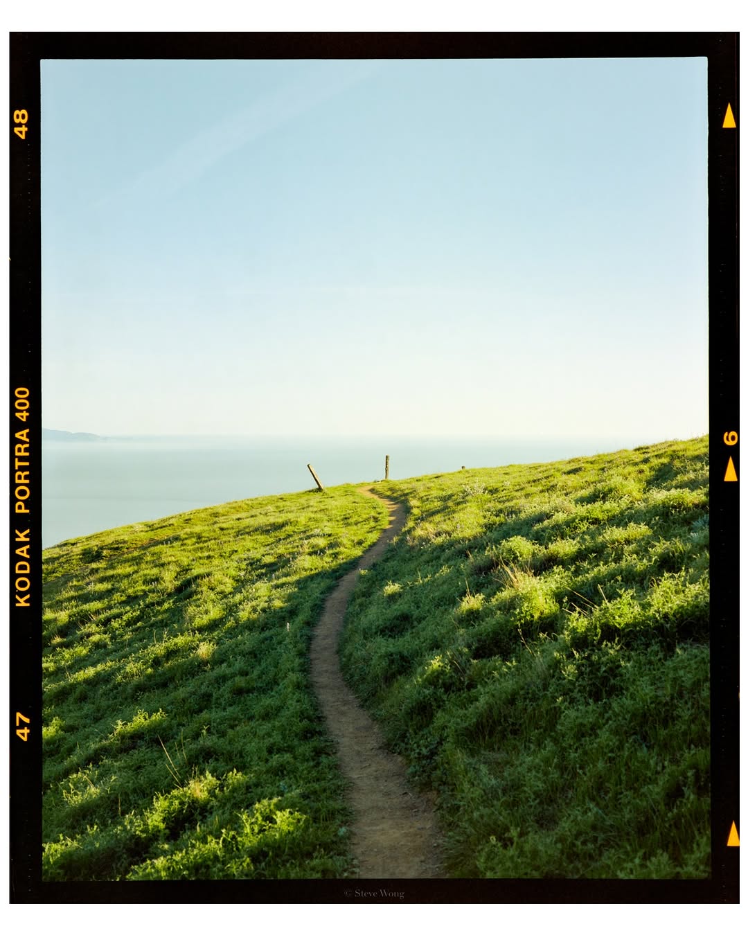 The dream place. 🎞️

📸 #fujifilm gf670 
🎞️ @kodak #portra400 
📍#california 
🧪 Self development and scanned with #csnegativeplus @cinestillfilm

#madewithkodak