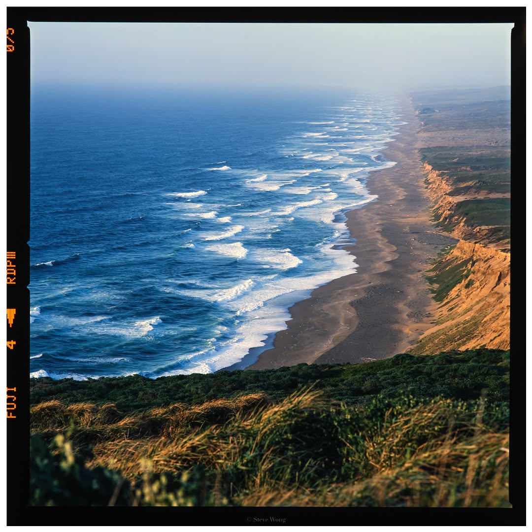 The dreamy moments in Point Reyes. 🎞️

📸 #hasselblad 205tcc @hasselblad 
🎞️ #provia #fujifilm 
📍#california 
🧪 Developed and scanned by myself

#filmphotography